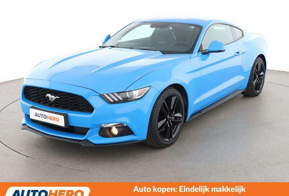 Ford 2.3 EcoBoost Basis