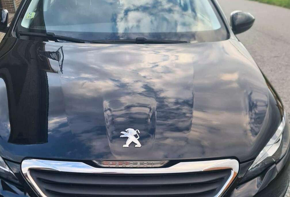 Peugeot SW 1.6 e-HDi 115ch FAP BVM6 Active