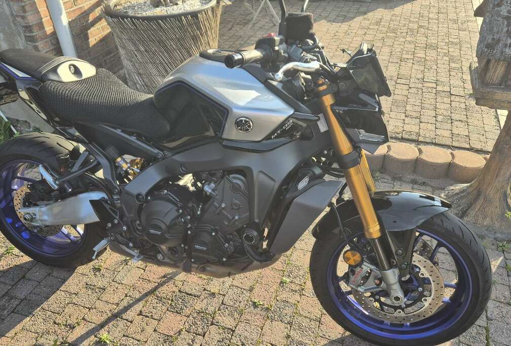 SP
