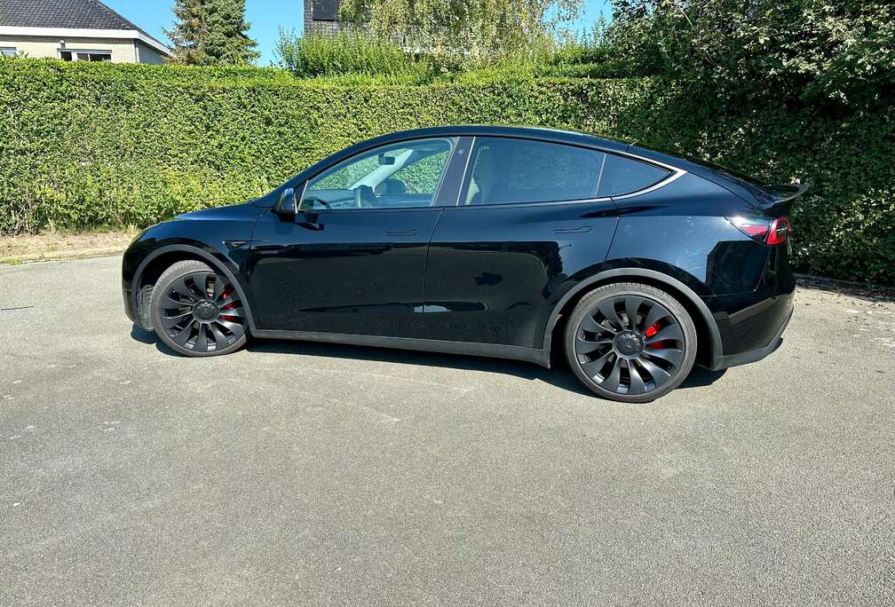 Tesla Model+Y+Performance+Dual+Motor+AWD