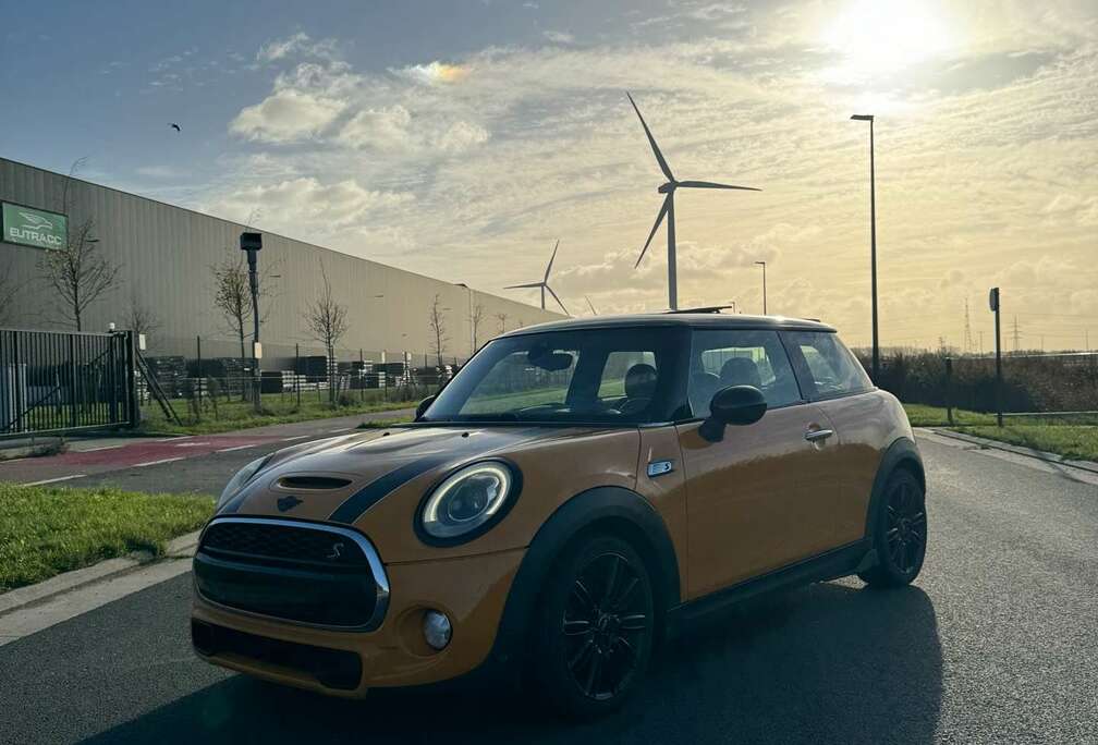 MINI Sport