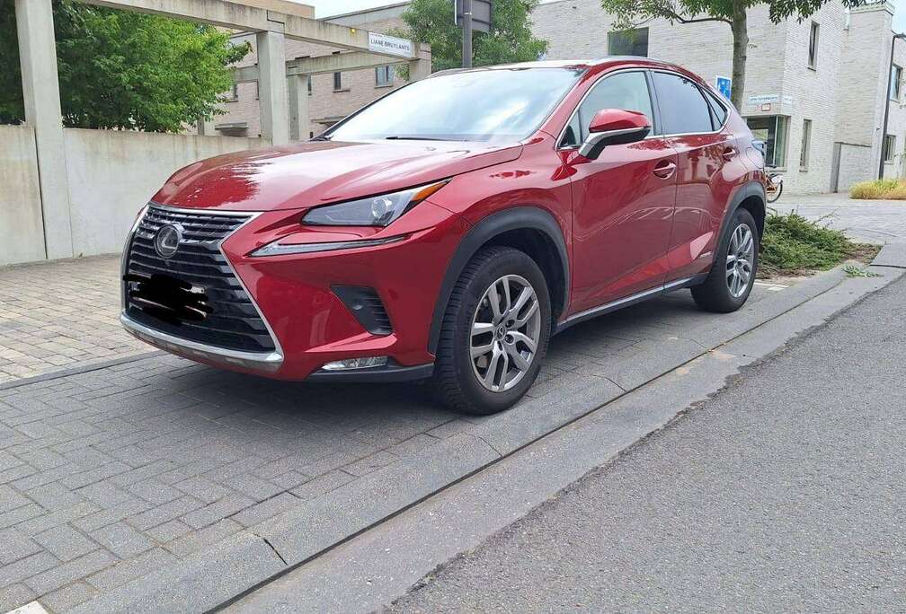 Lexus NX 300h 2.5i AWD Executive Line E-CVT (EU6.2)