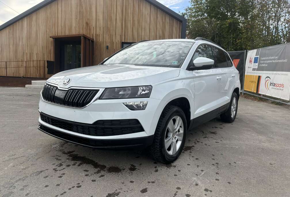Skoda En Parfait État