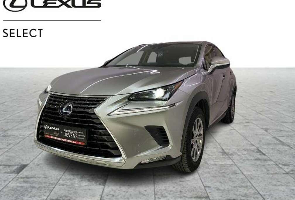 Lexus Business Line Plus AWD 2.5 Hyb