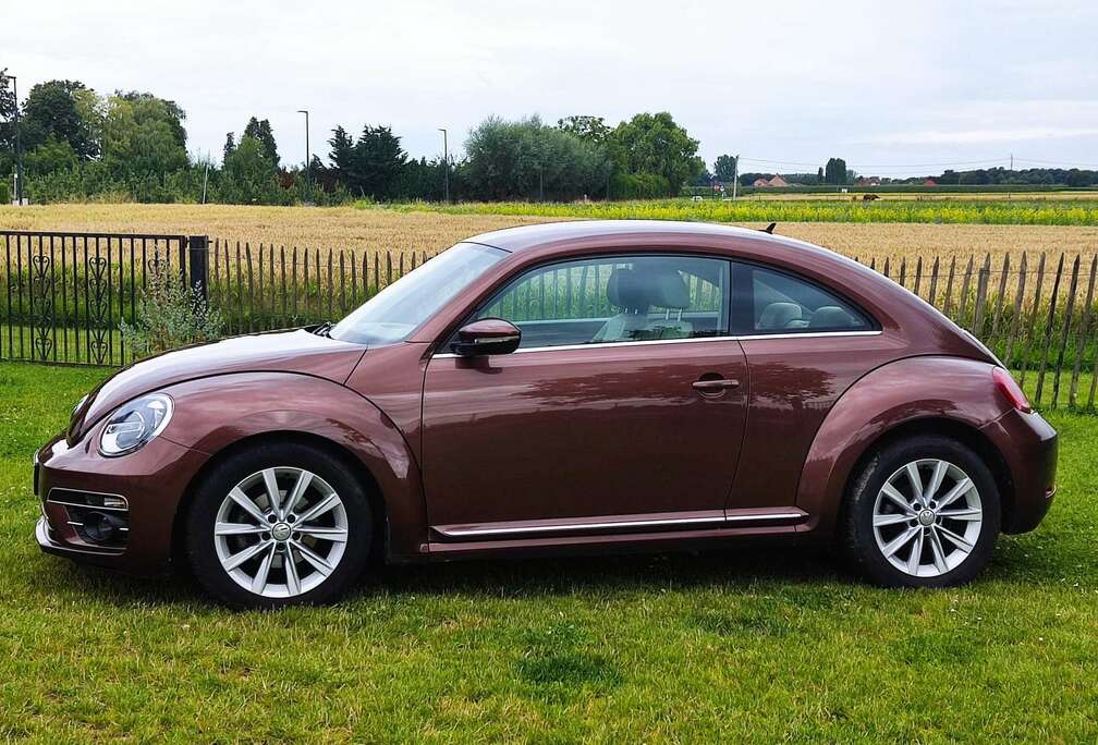 Volkswagen New Beetle 1.9 TDI DPF Freestyle