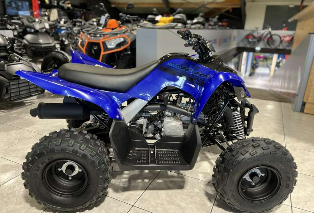 YFM 110 R