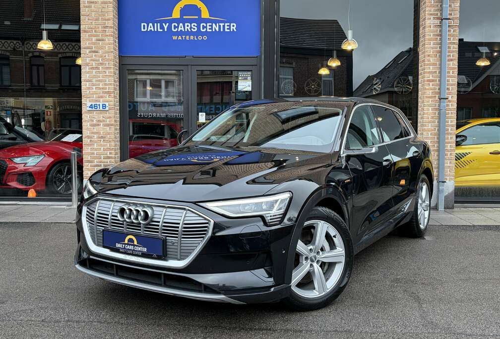 Audi 95 kWh 55 Quattro Advanced I Cuir I Led I Cam  HUD