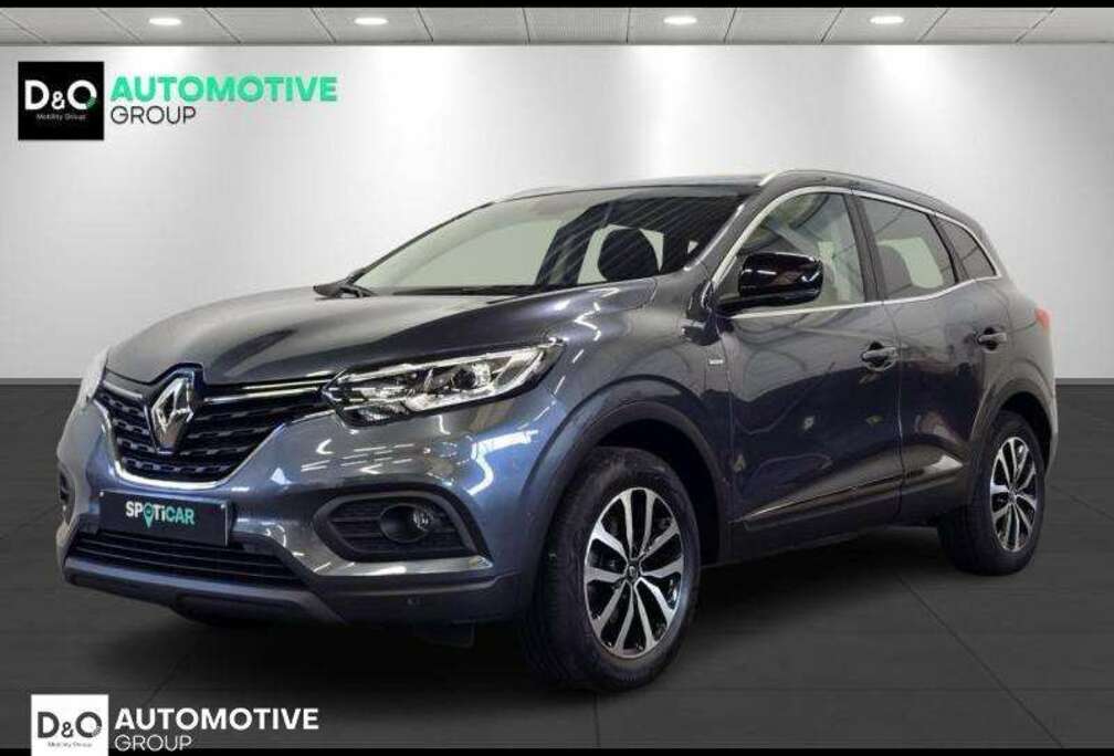 Renault Limited camera gps trekhaak