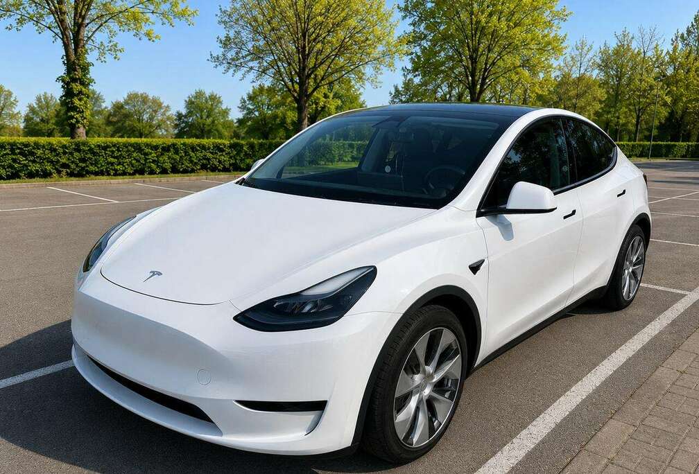 Tesla SUV