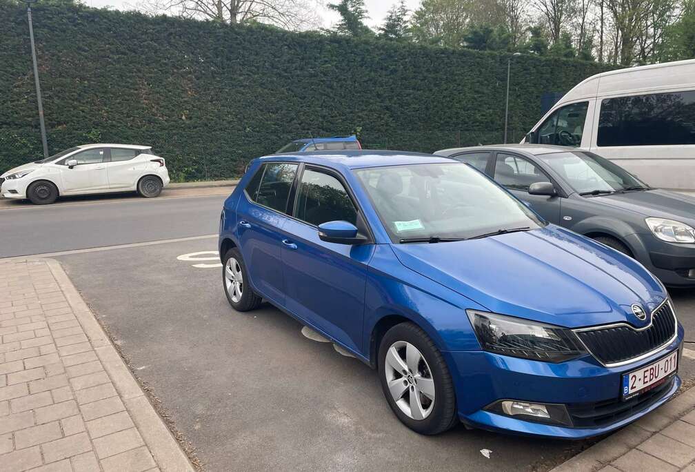 Skoda 1.2 TSI Joy