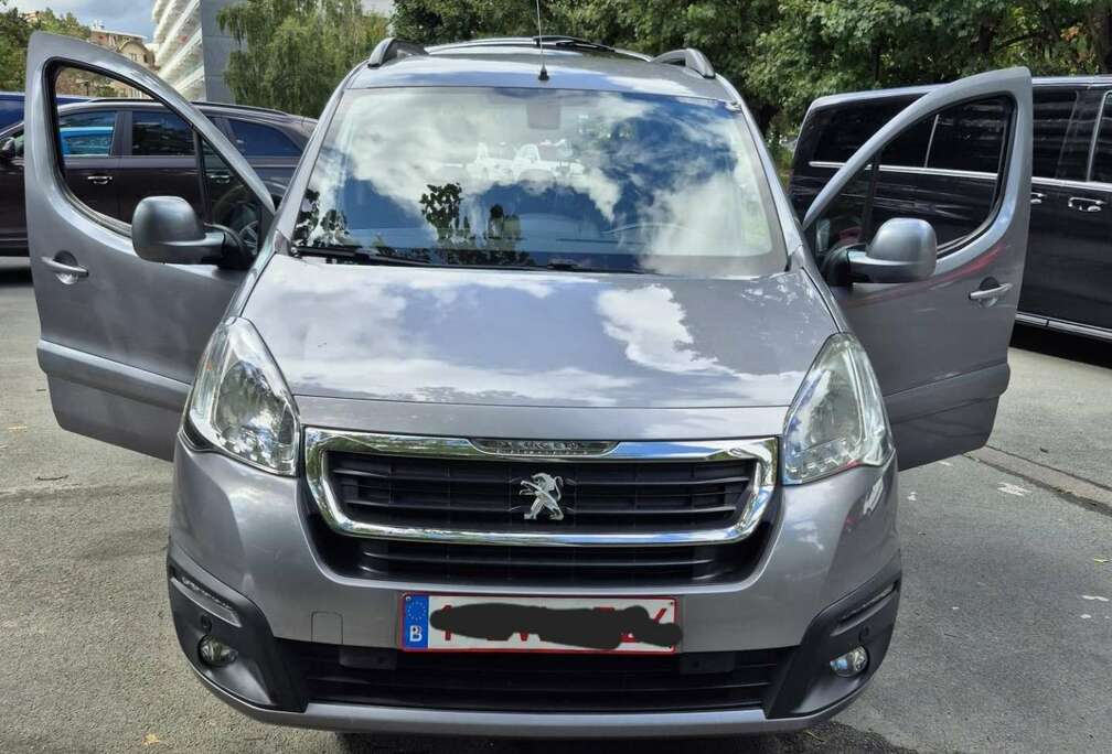 Peugeot Tepee 1.6 BlueHDi Active S&S