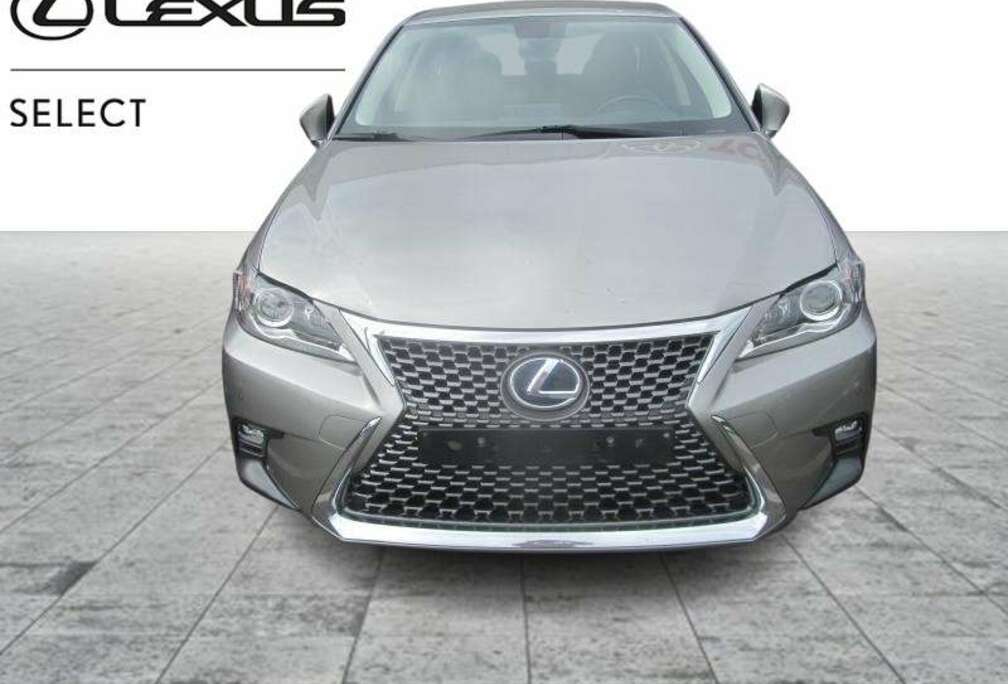 Lexus Business Line