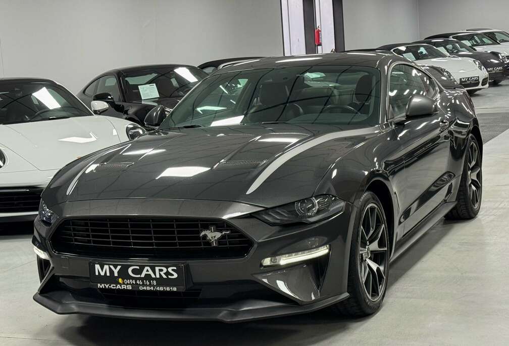 Ford 2.3 Fifty Five Years Full Options Garantie 1An