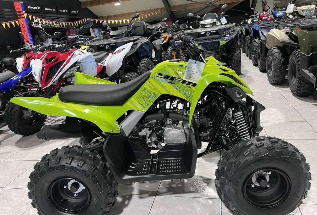 YFM 110 R