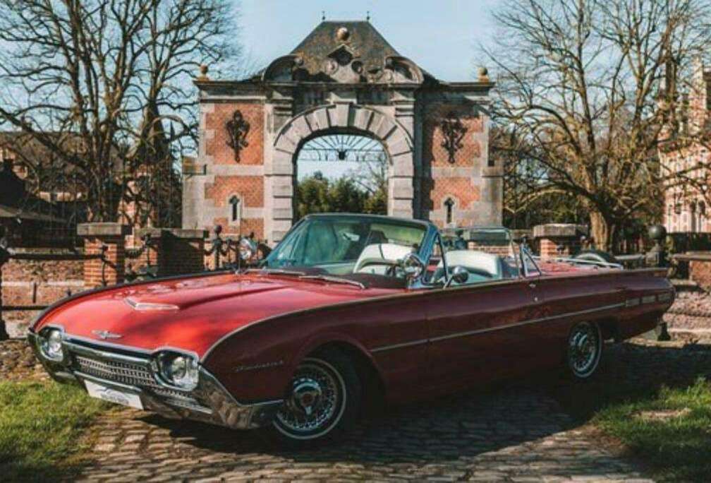 Ford (T-Bird) roadster 5.7 V8 / CABRIO / LEDER / OLDTIMER