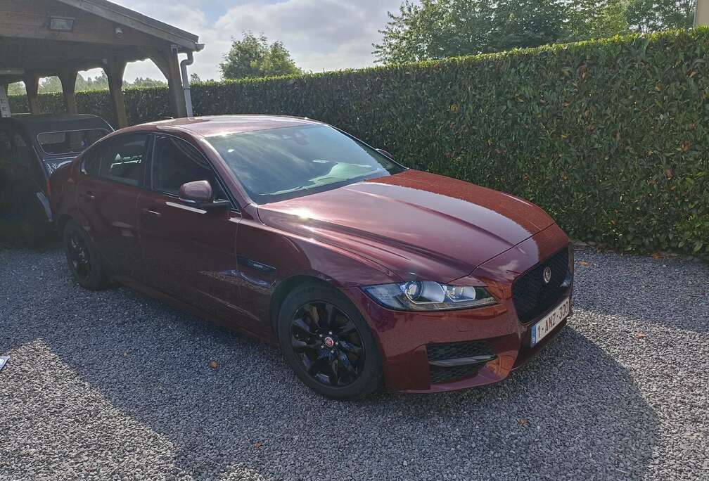 Jaguar XF E-Performance Aut. R-Sport