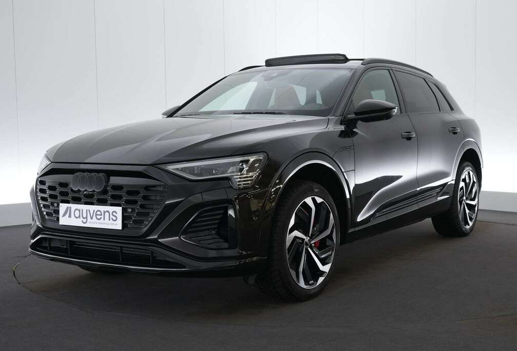 Audi 114 kWh 55 Quattro S-Line Shadow Platinum Exclusiv