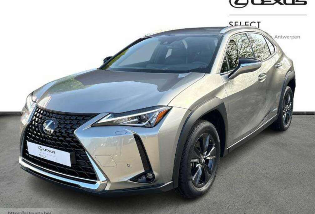 Lexus Bussiness Line