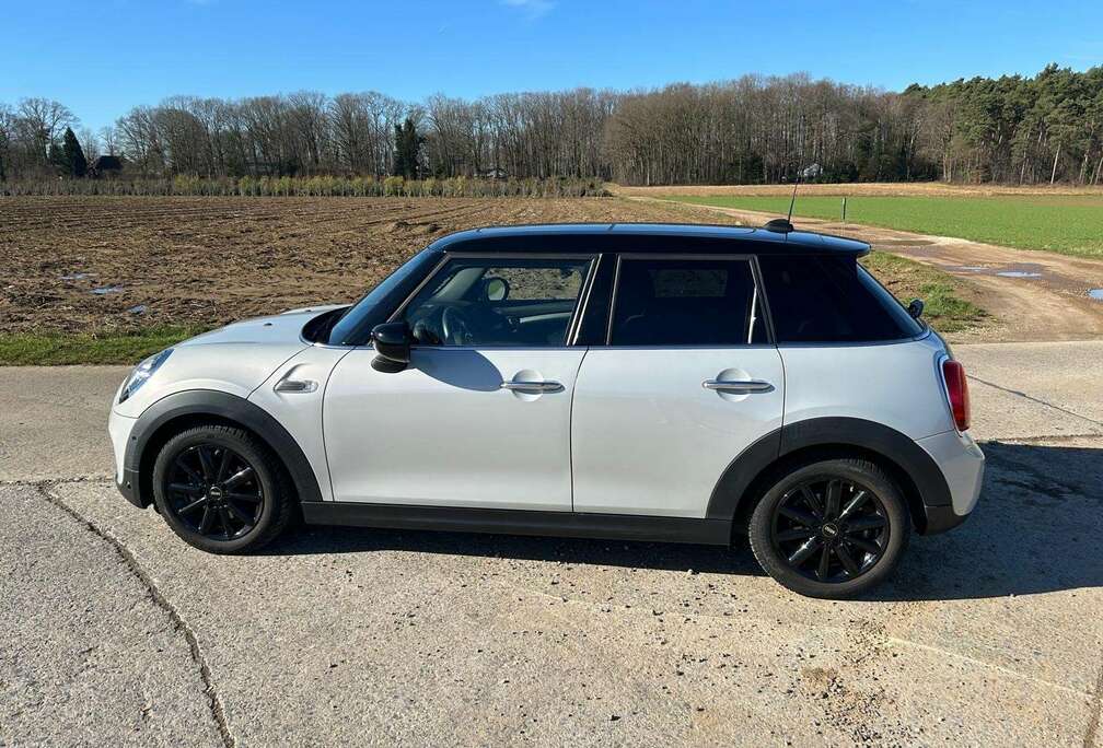 MINI Finition haut De Gamme