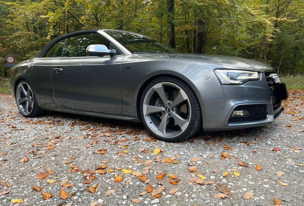 Audi Cabrio 3.0 TDI DPF (clean diesel) quat. S tron.