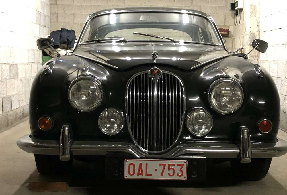 Jaguar Model 240