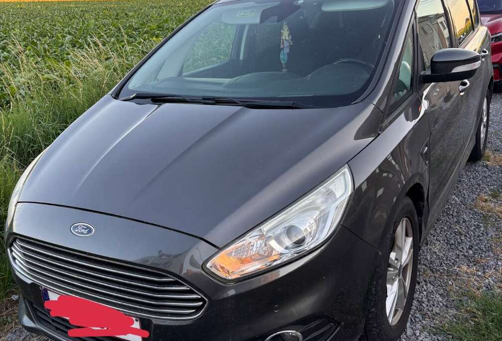 Ford S-Max 2.0 TDCi Business Class
