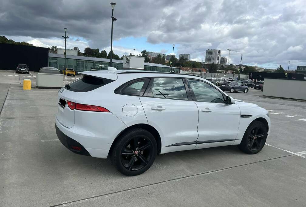 Jaguar