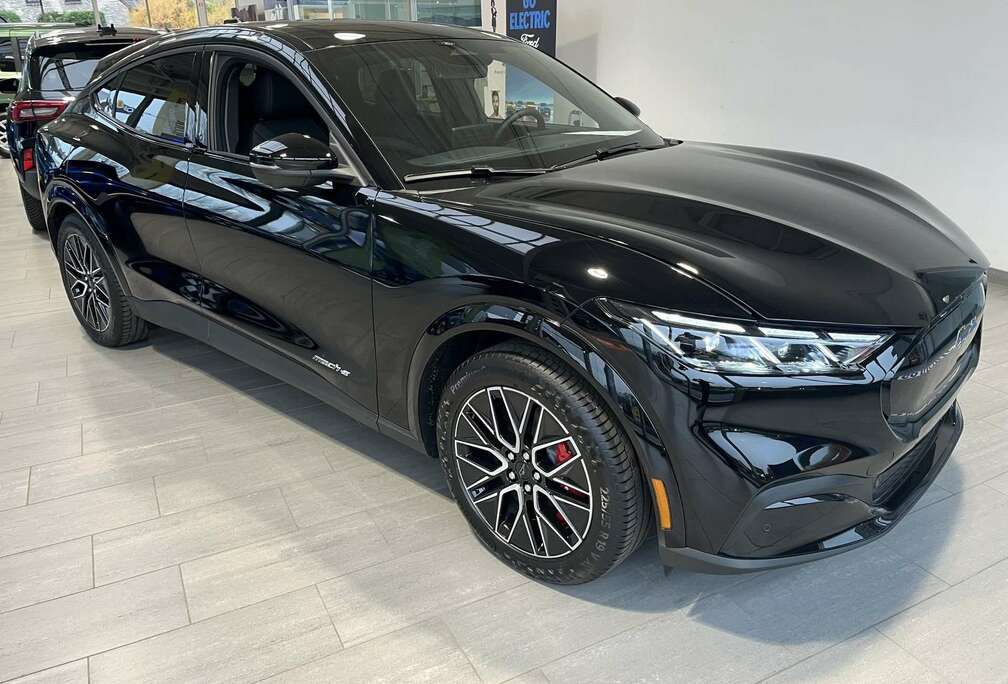 Ford 87 kWh Premium RWD