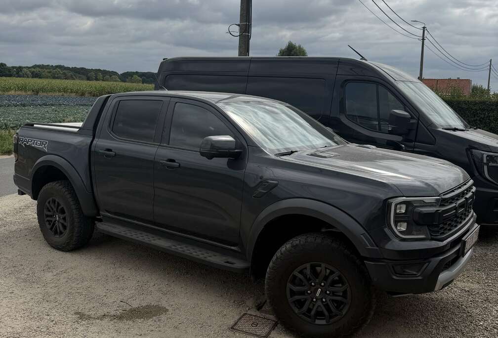 Ford 2.0 BiT EcoBlue Raptor (EU6.2)