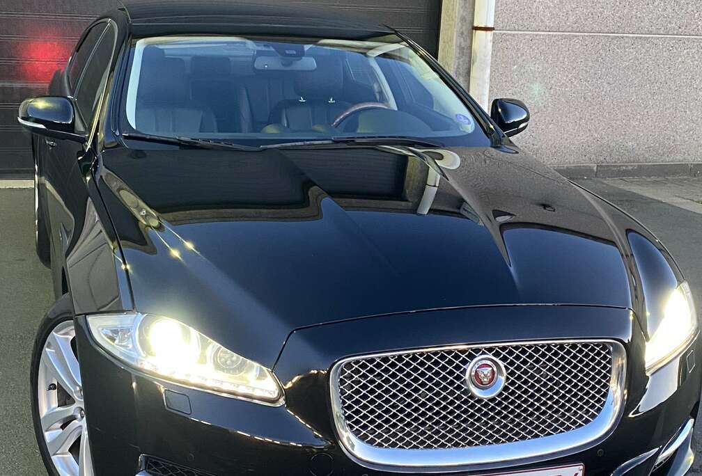 Jaguar