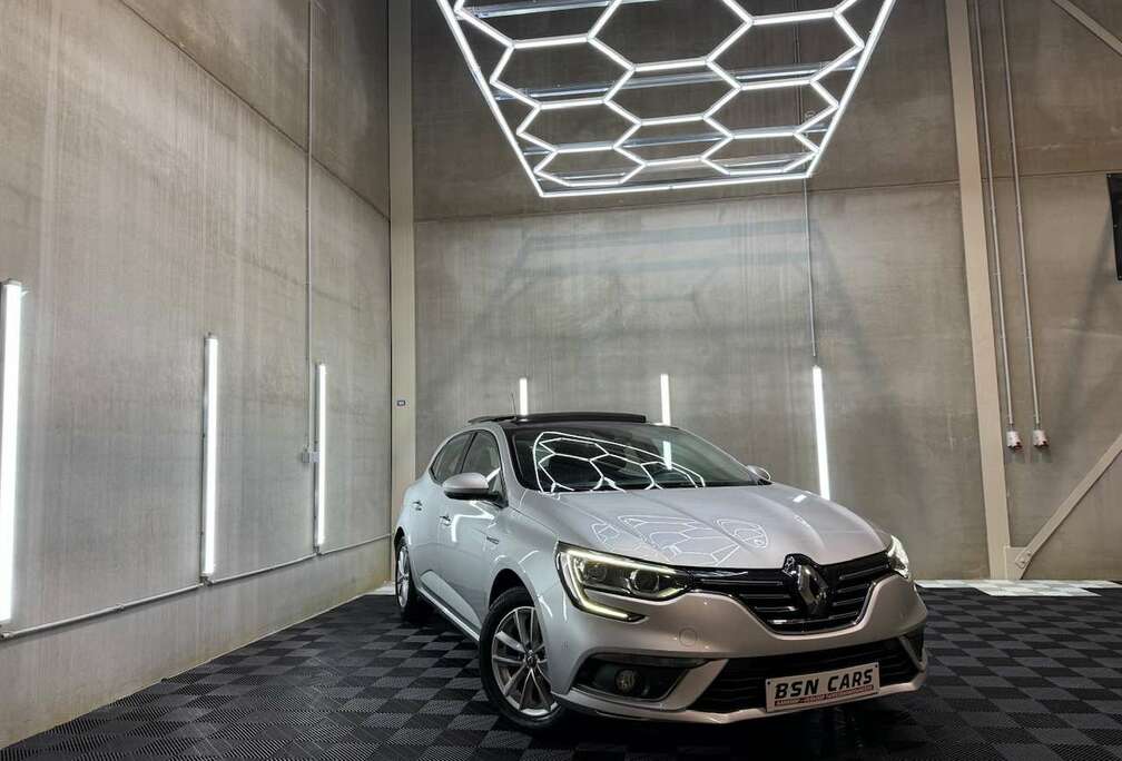 Renault /PANO/CAMERA/SFEER/1EIGENAAR/GARANTIE