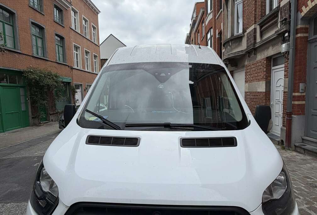 Ford 2.0 TDCi L3H3 Trend (EUVI)