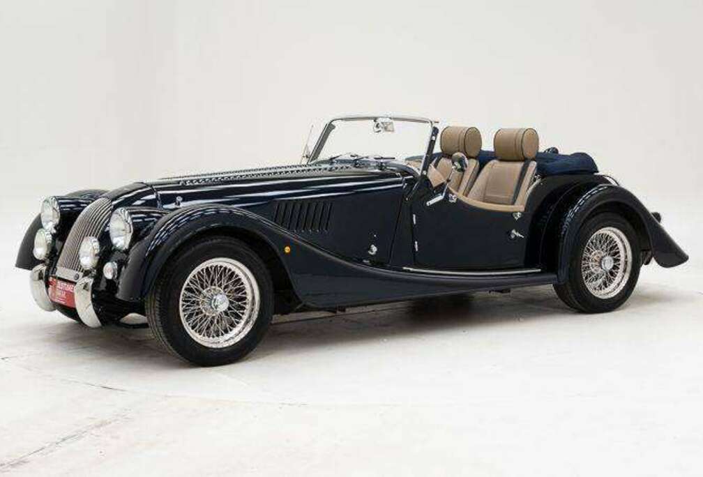 Morgan \'2019 CH04085