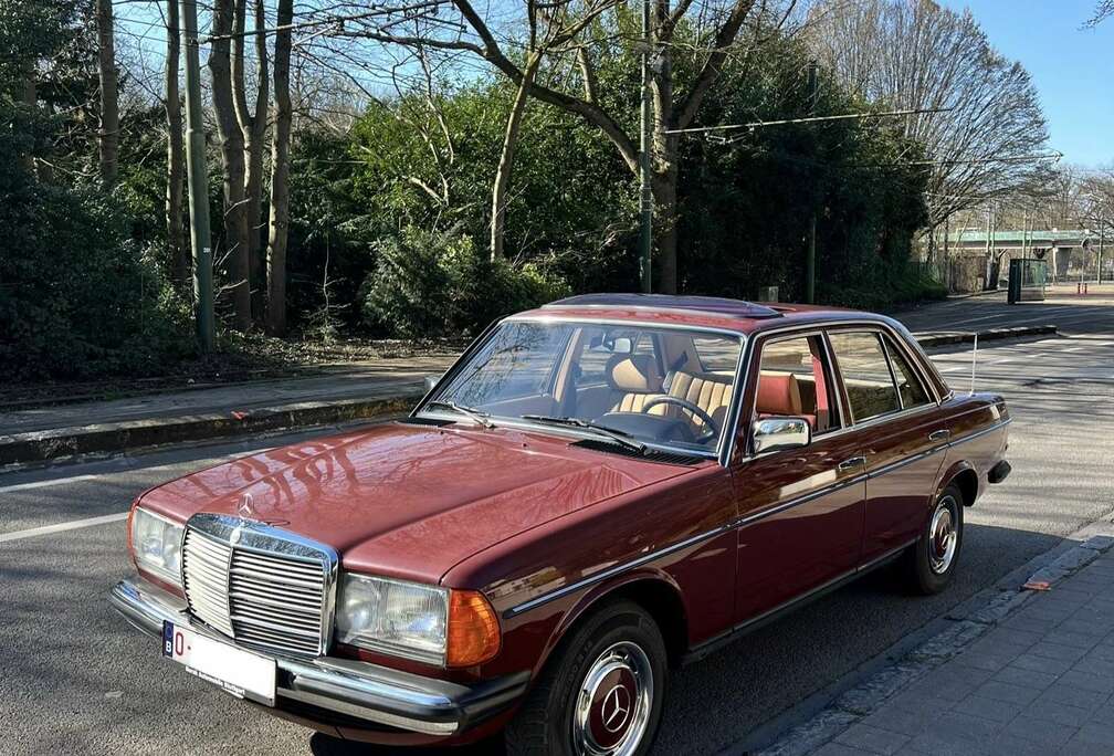 Mercedes-Benz W123