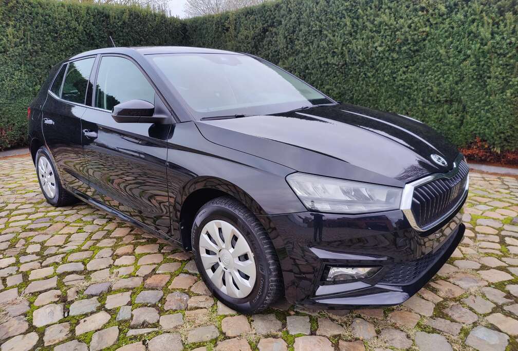 Skoda Fabia 1.0 TSI Clever Parkeer Camera