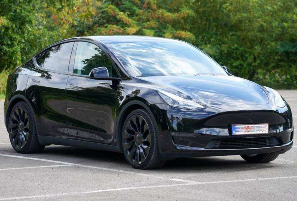 Tesla Performance full option + Full Self Drive