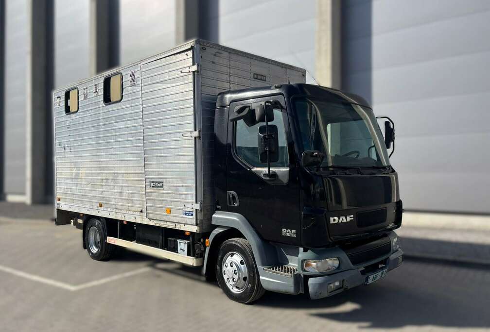 DAF LF 45.180 - Transporteur de chevaux / Paarden transport