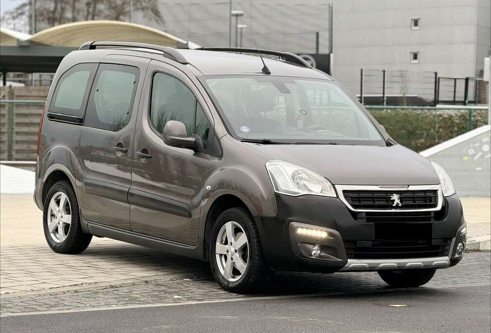 Peugeot Tepee