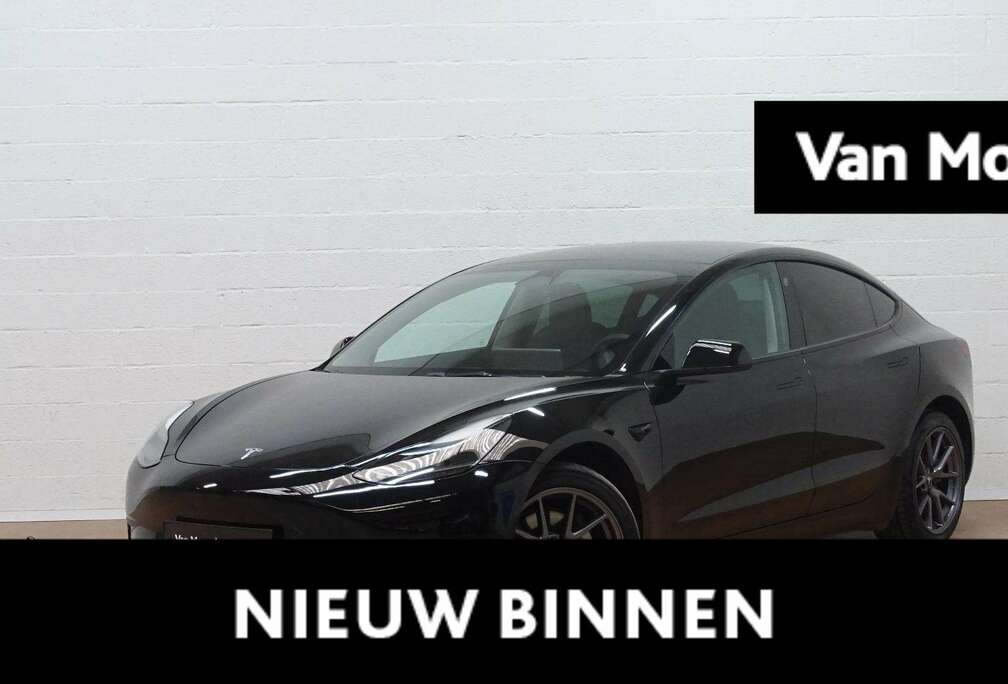 Tesla Standard RWD Plus