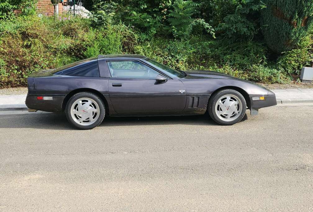 Corvette Targa