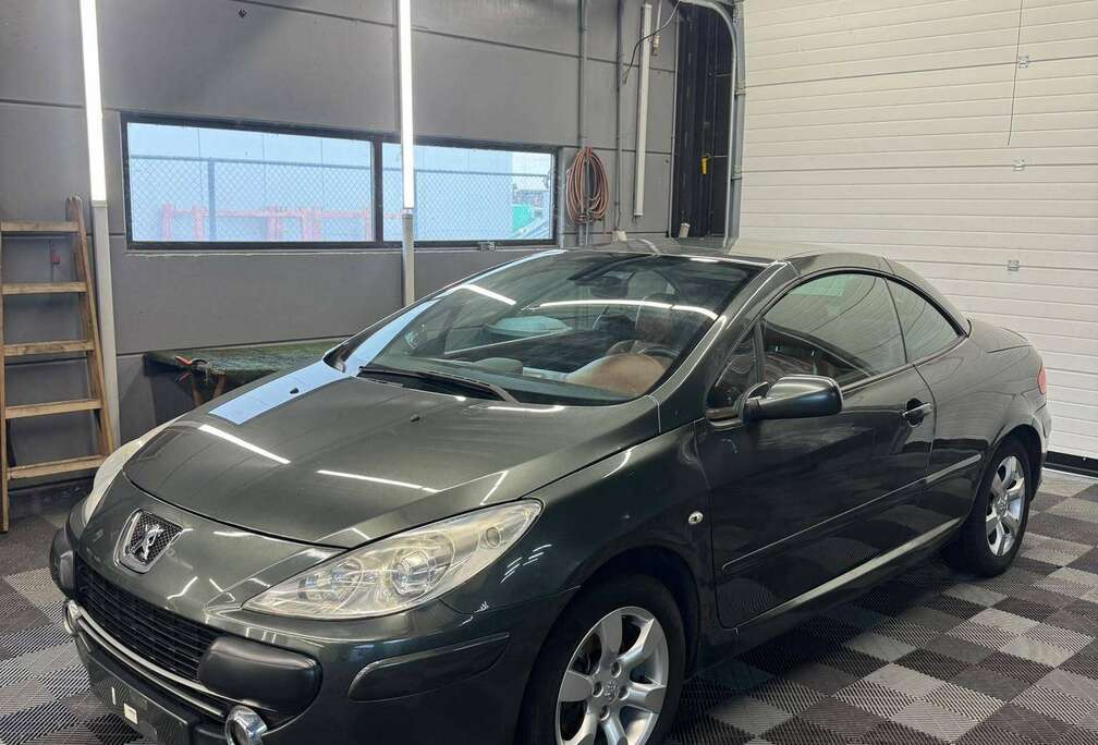 Peugeot cc 1.6 benzine bj2006 euir4 START NIET