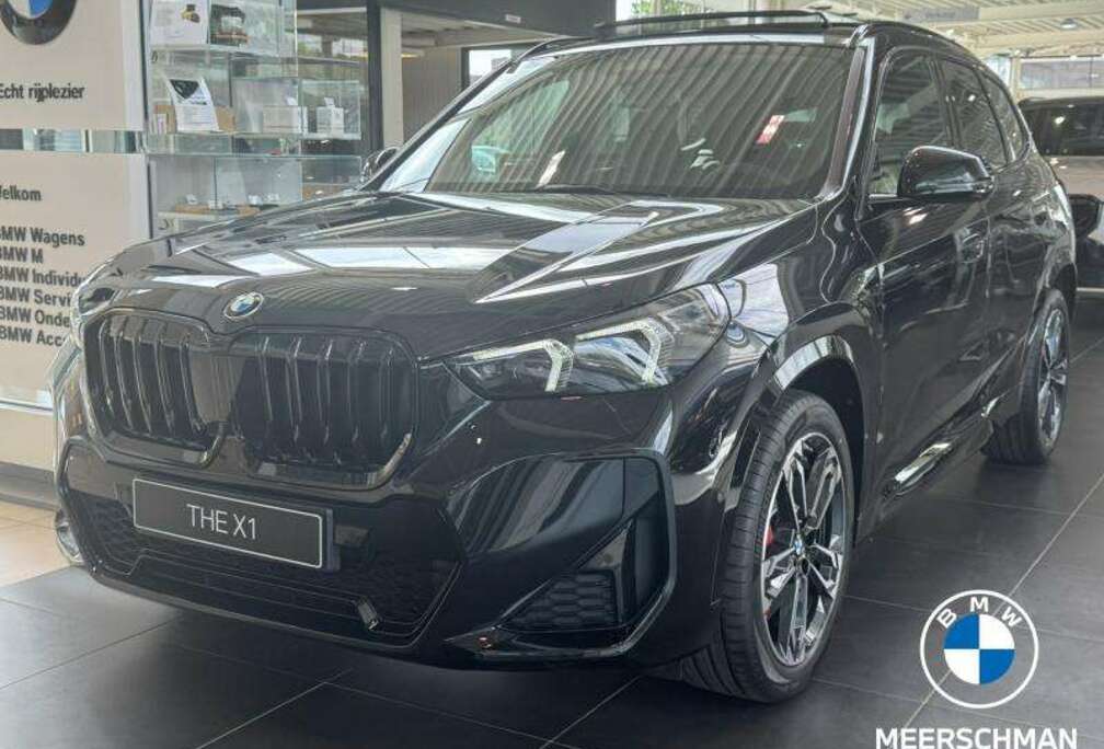 BMW M Sport Pro / Pano / Trekhaak