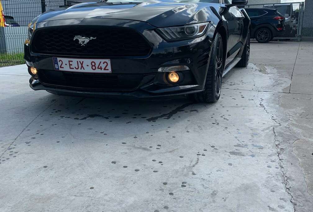 Ford 2.3 Eco Boost