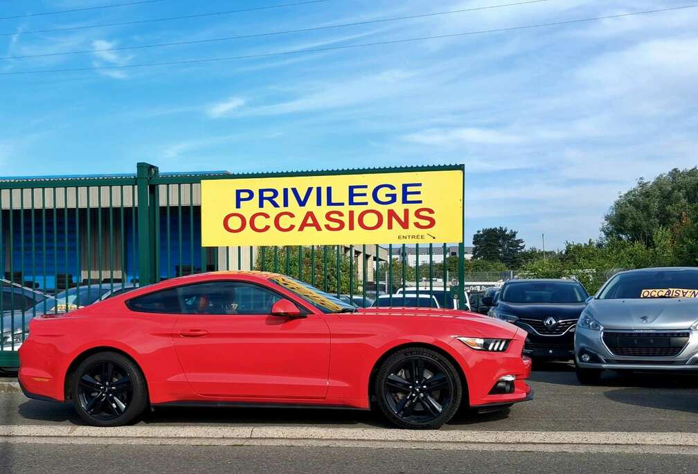 Ford 2.3 EcoBoost 317 CV 28OOO KM FULL OPTIONS