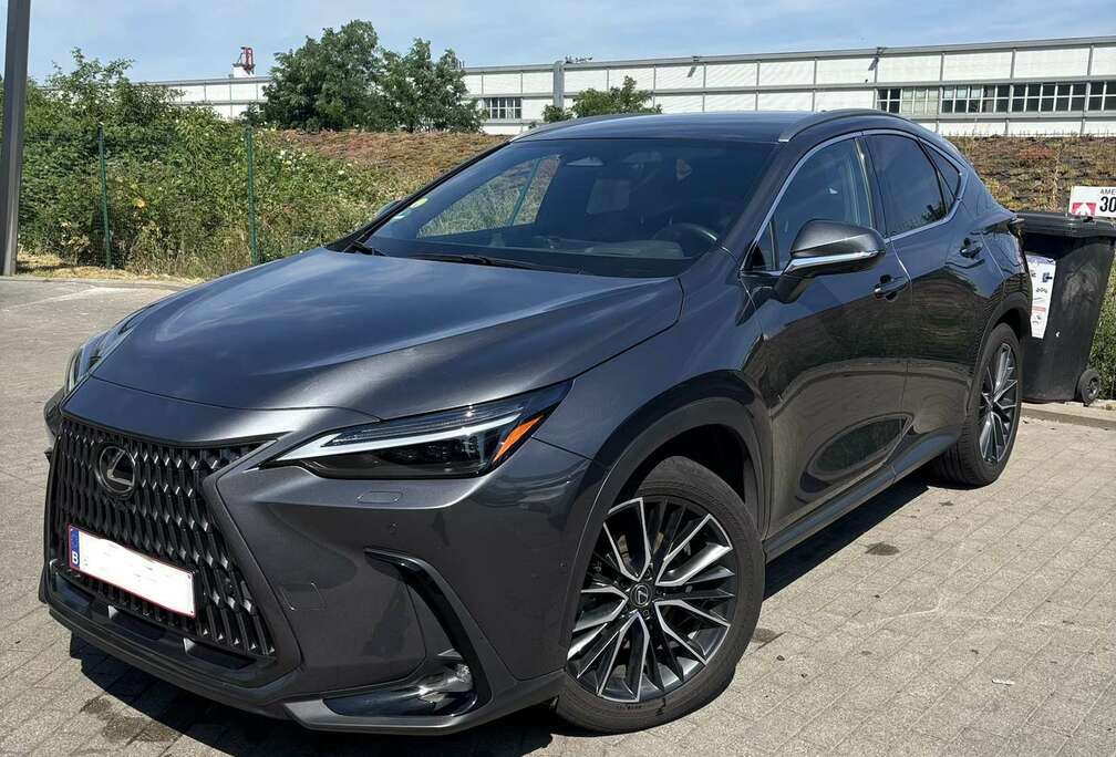 Lexus NX 350h AWD Privilege Line, full, 360°Cam, Head up, Mark Levinson