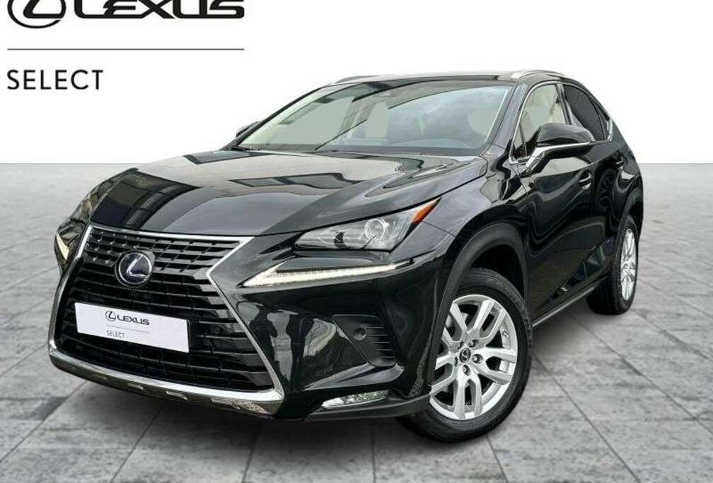 Lexus Executive Line