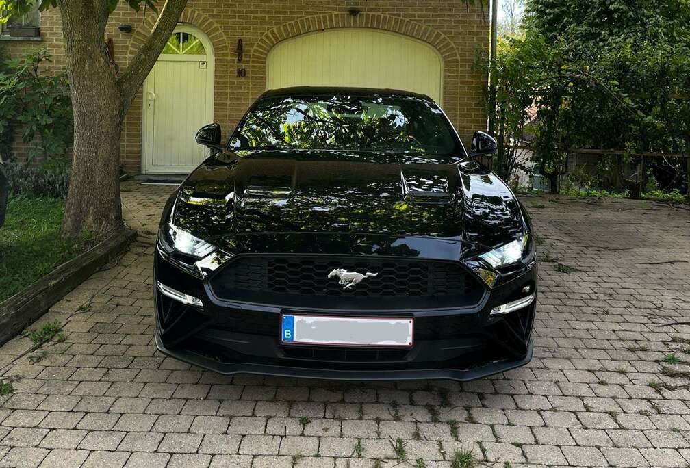 Ford Mustang+2.3+EcoBoost+(EU6.2)