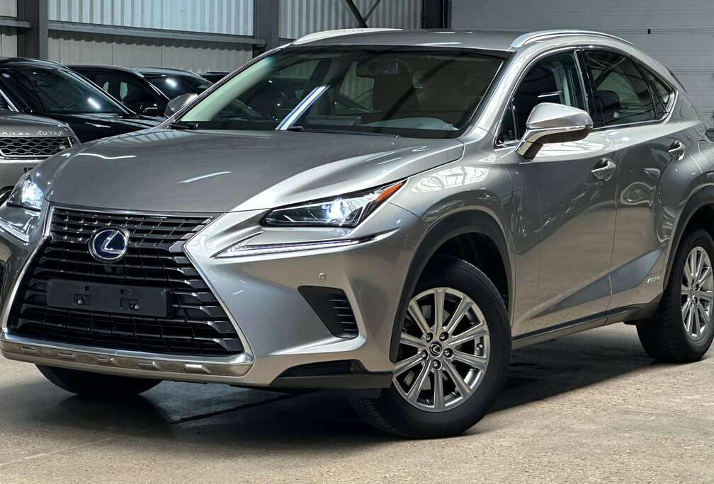 Lexus NX 300h 2.5i AWD Business Edition  E-CVT (EU6.2)