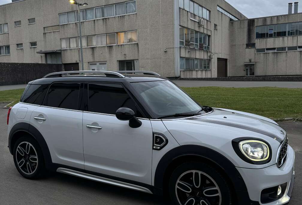 MINI S