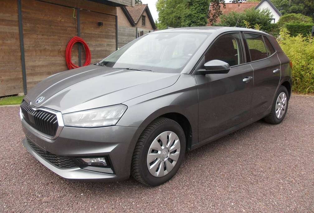 Skoda Fabia  TSI 116 PK DSG  AUTOMAAT-APP CONN.-LANE-CRUISE-LED-DAB...